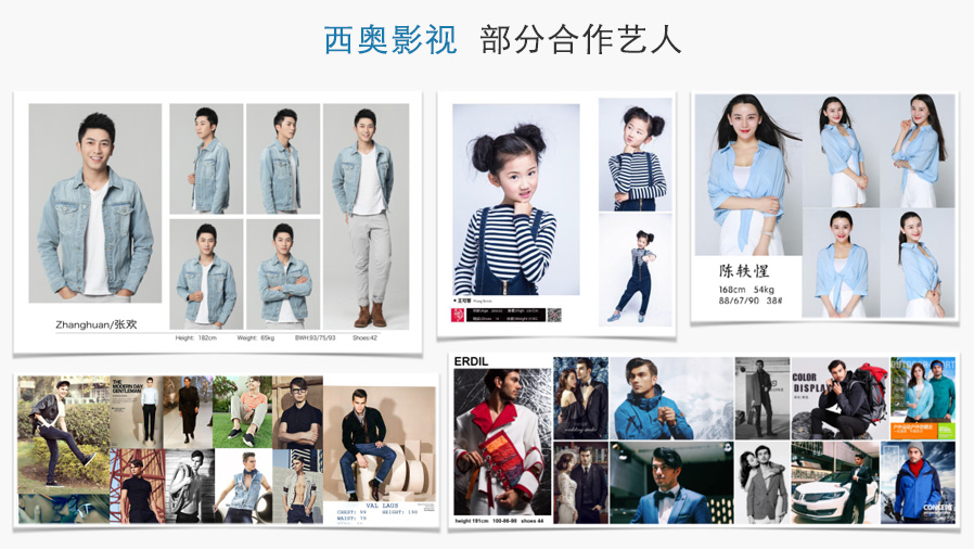 西奥影视团队介绍